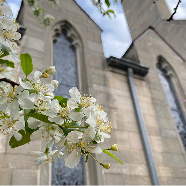 Women at Second Honorary Life Member Nominations

Submission Deadline: February 1
Nominate a Friend
